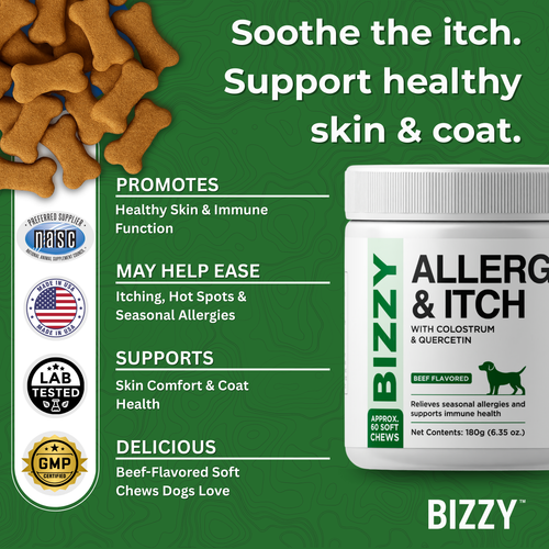 BIZZY Allergy & Immune Support – 60 Soft Chews